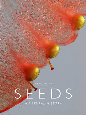 cover image of Seeds